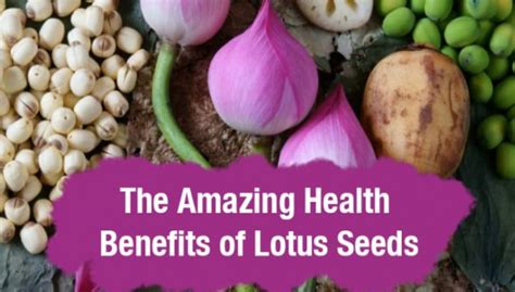 7 Super Health Benefits Of Lotus Seeds Makhanas For Natural Health