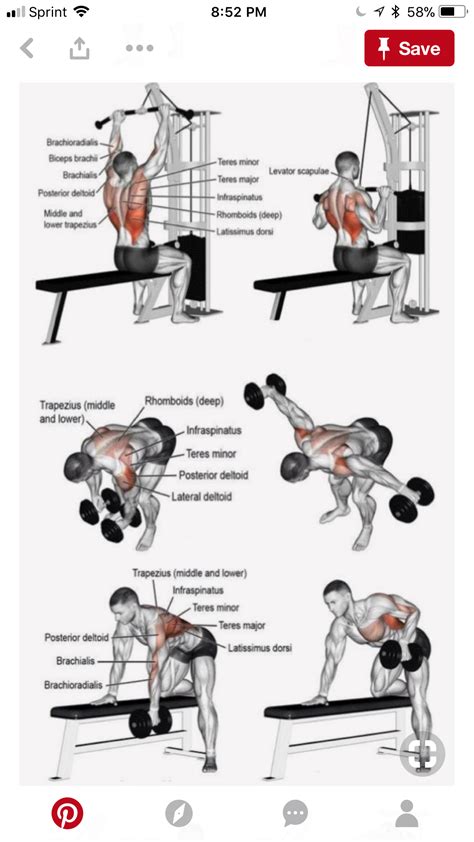 Back And Biceps The Best Workout Combination Artofit