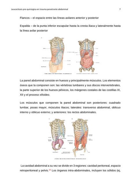 Pdf Tesis Leucocitosis Prequir Rgica Como Factor Predictor De Lesi N