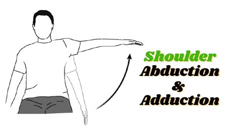 Shoulder Abduction And Adduction With Muscles Names Abductor Muscles
