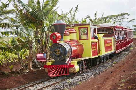 Best Family Friendly Things to Do North Shore Oahu - Dole Plantation