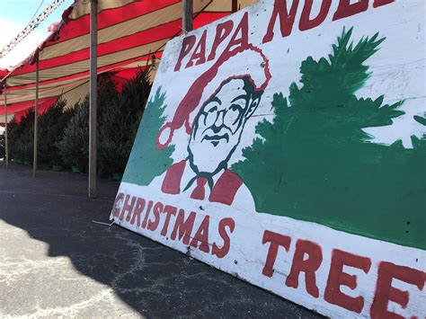 Christmas tree shortage could mean tree lots sell out fast