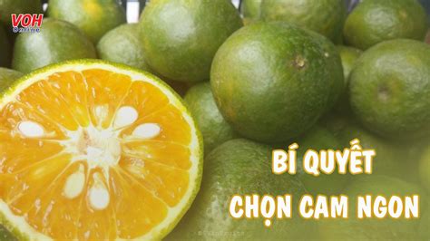 Cách Chọn Cam Ngon Mua Loại Cam Nào Cũng Chuẩn