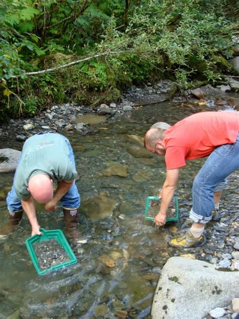 A Complete Guide to Gold Panning in Montana - Discovering Montana