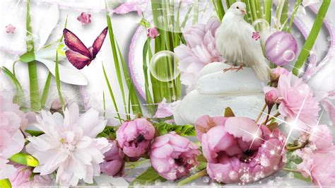 papillon, flowers, dove, bird, pink, poster, butterfly, 1080P, stone ...