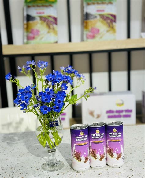 SỮA GẠO TÍM HOÀNG KIM ( COMBO 3 THÙNG / 1 THÙNG 24 LON) - Hoàng Kim ...