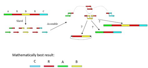 10 Genome Assembly BCH709 Introduction To Bioinformatics