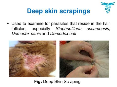 Skin scraping test