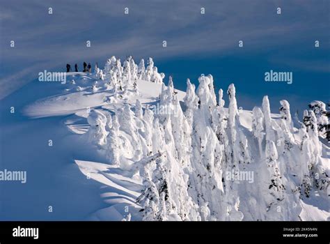 Winter snow in the Northern Cascades mountains, elevated view of ...