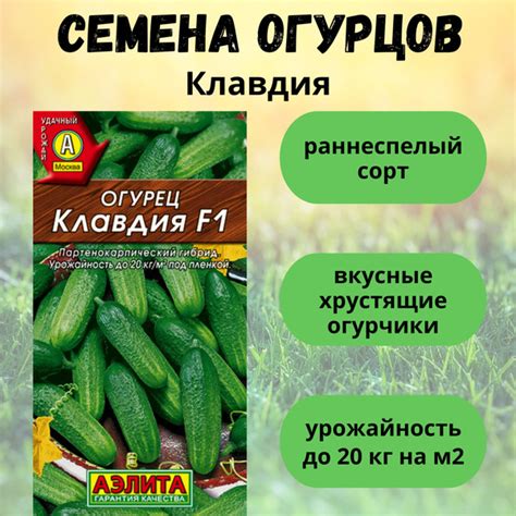 Огурцы Аэлита Набор Огурец Бабушкин секрет и Огурец Всегда удачные_1 ...