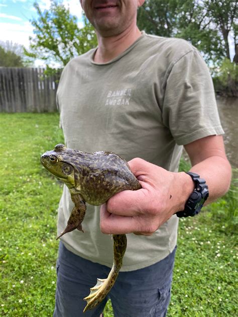 Prairie Oasis Campground & Cabins | Henderson, NE
