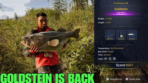 Goldstein The Legendary Fish For This Week 12 5 23 New Location