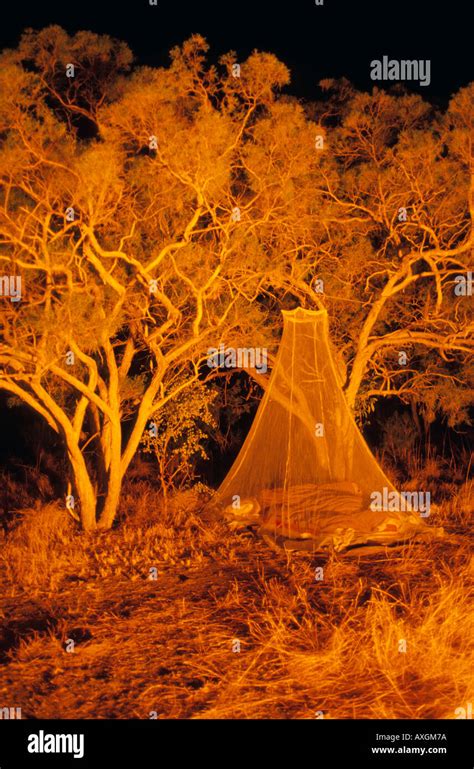 Camping, outback Australia Stock Photo - Alamy