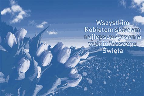 Samotna błyszcząca róża z życzeniami na dzień kobiet Życzenia na