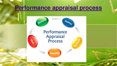 Performance appraisal process