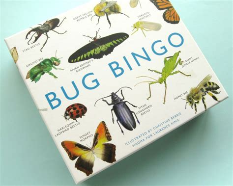 Bugs And Fishes By Lupin Review Bug Bingo