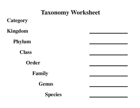 Unlock The Answers Biological Classification Worksheet Answer Key Pdf