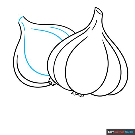 How To Draw Garlic Really Easy Drawing Tutorial