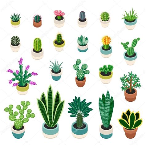 Big Set Of Cacti And Succulents In Pots — Stock Vector © Aklionka