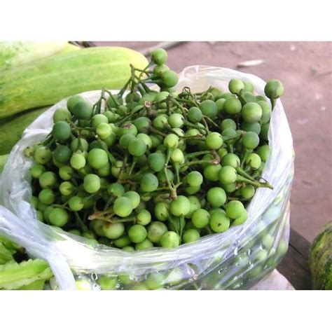 Jual Buah Takokak Segar Buah Cempokak Buah Tekokak 300 Gr Shopee