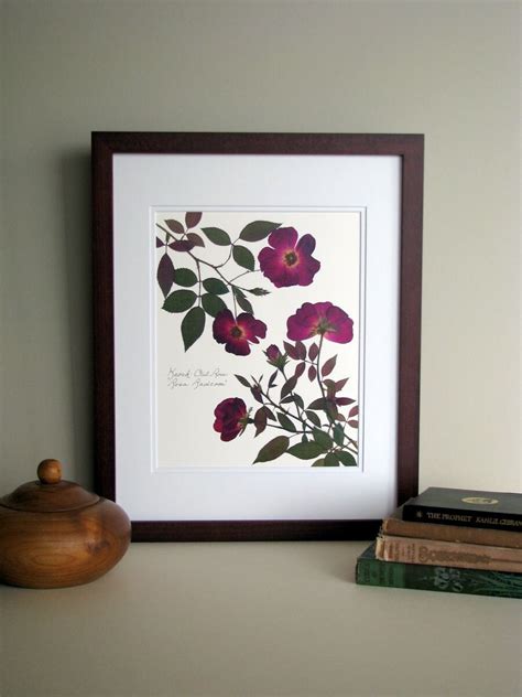 Pressed Flowers Print X Double Matted Knock Out Rose Etsy India