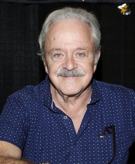 Humorous facts to bring you cheer today