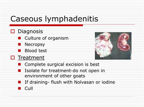 Ppt Goat Health And Care Powerpoint Presentation Free Download Id