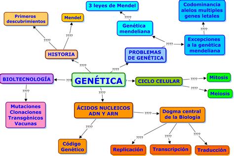 Mapa Conceptual Genetica Mendeliana Documentos