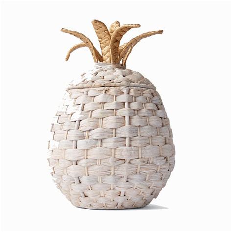 Storage Has Never Been More Fun Bring Home This Awesome Pineapple