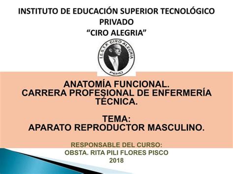 Aparato Reproductor Masculino Ppt