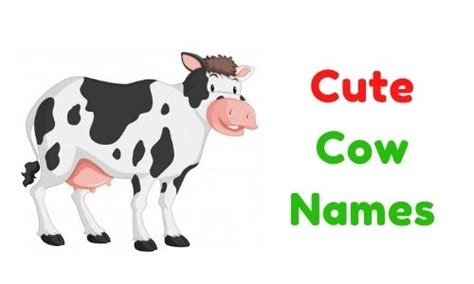 {1000+} » Cute Cow Names » [ Funny + Unique + Famous + Badass ]