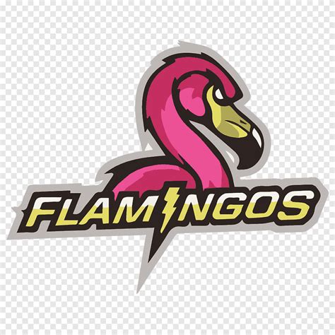 Logo Team Sport Team Sport Football Team Flamingos Sport Team Png