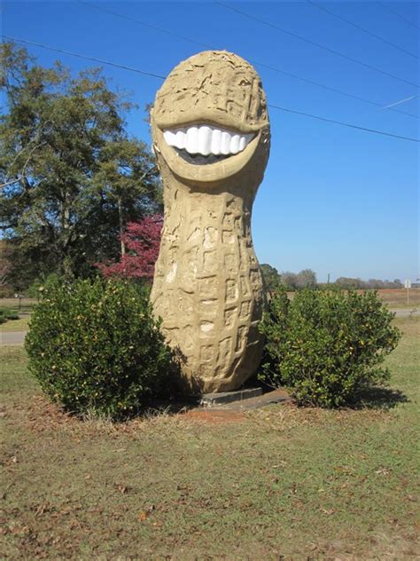 Smiling Peanut Plains Georgia