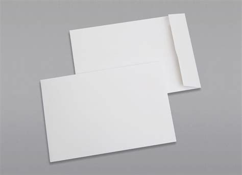 Custom Printed 6 1/2 x 9 1/2 Catalog Envelopes with Gum Adhesive