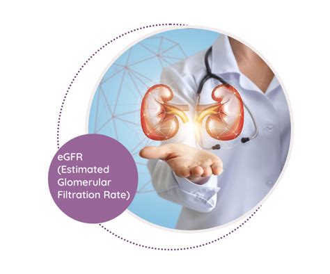 EGFR Estimated Glomerular Filtration Rate MediScan Lab