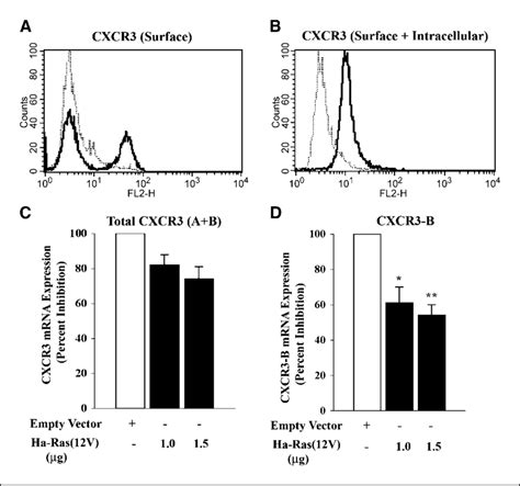 Activation Of Ras Inhibits The Expression Of Cxcr3 B In Breast Cancer