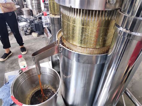 Cold Press Hydraulic Oil Press Machine For Seeds Oil Extraction