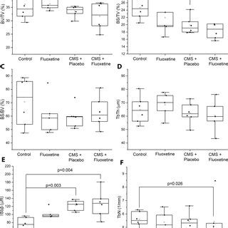 Histomorphometry parameters of metaphysis trabecular bone A Bone ...