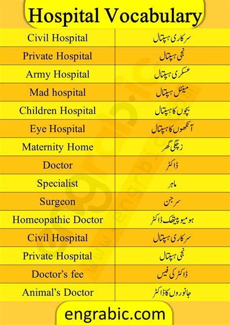 Medical And Hospital English Vocabulary With Urdu Meanings