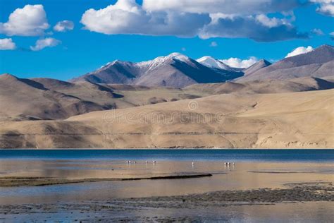 Landscape Around Tso Moriri Lake in Ladakh, India Stock Image - Image ...