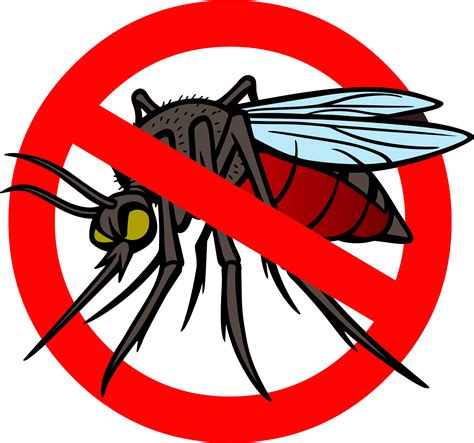 Mosquito Clip Art Mosquito Clipart Harm Pencil And No Mosquito Png