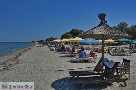 Tigaki Kos | Urlaub in Tigaki Griechenland