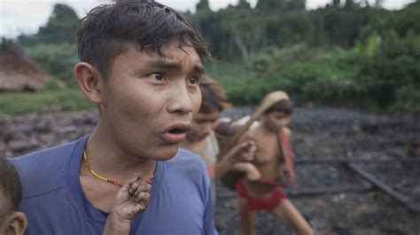 Tragédia Yanomami reportagem do Fantástico encontra aldeia em luto no