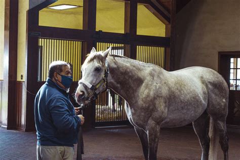 The 6 Best Horse Farm Tours in Lexington, Kentucky