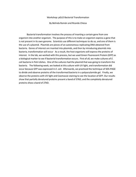 Pglo Bacterial Transformation And Pglo Sds Page Extension Pdf