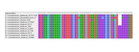 Taxonomic Classification Of Strain PO100 5 Shows A Broader Geographic