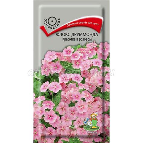 Флокс друммонда Красотка в розовом из каталога Семена цветов – купить с ...