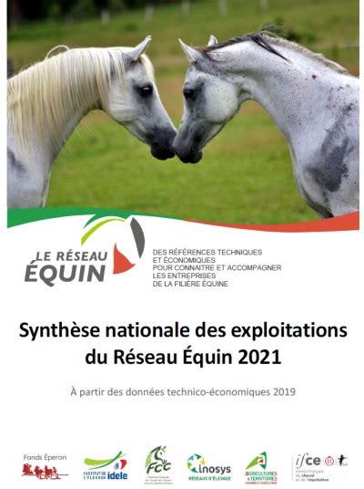 Conseil Des Chevaux Des Hauts De France Semaine Digitale Du Cheval