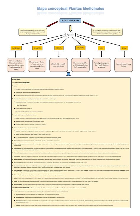 Mapa Conceptual Plantas Medicinales PDF