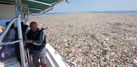 La Isla De Basura En El Pacífico Ya Es Más Grande Que Francia Y